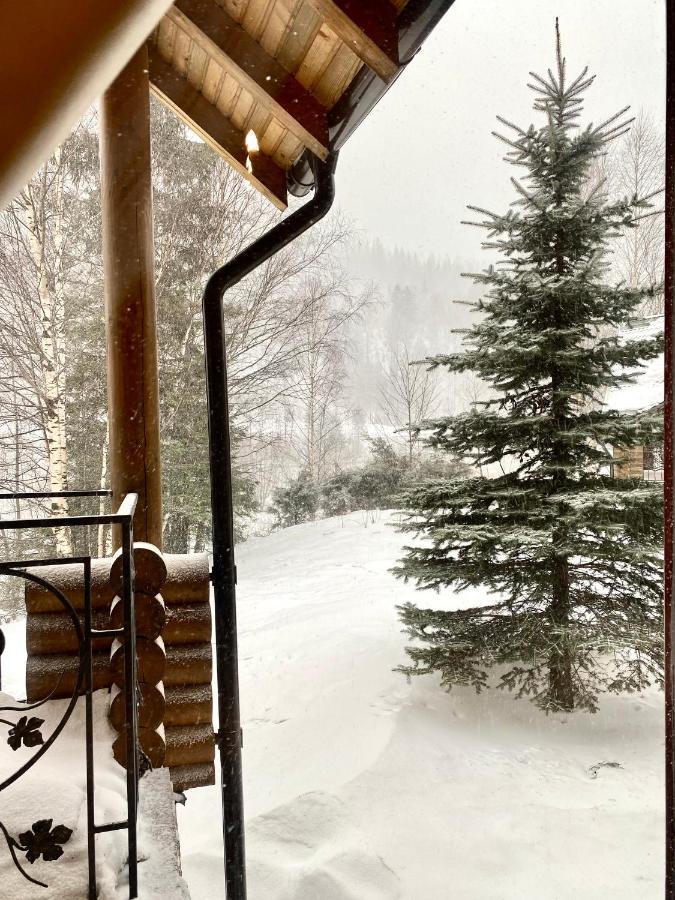فيلا تاتاريففي Chalet Four Seasons المظهر الخارجي الصورة
